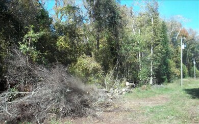 unlisted-address, Fort White, FL 32038 - photo 3