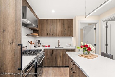 631 S Galena St unit 11, Aspen, CO 81611 - photo 5