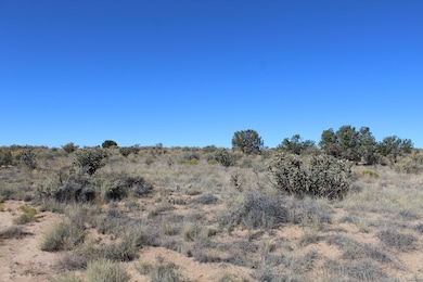 0 51st Ave NW unit 1094048, Rio Rancho, NM 87144 - photo 5