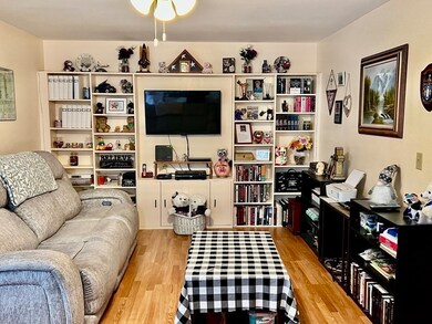 88 Fuller St unit 19, Ludlow, MA 01056 - photo 6