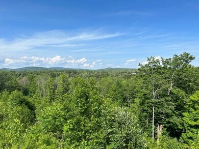 19 Powderhorn Ln unit 8B, Wilmington, VT 05363 - photo 2