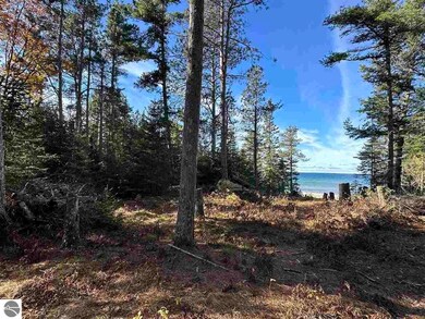 32010 Mrs Reddings Trail, Beaver Island, MI 49782 - photo 5