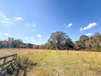 13 Grant County Road 455, Prattsville, AR 72129 - photo 3
