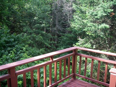 12 Open Meadow Lane (C234 C237), Wilmington, VT 05363 - photo 5