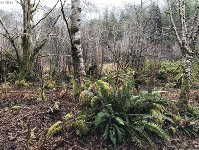 0 Miami Foley Rd unit 17064732, Nehalem, OR 97131 - photo 2