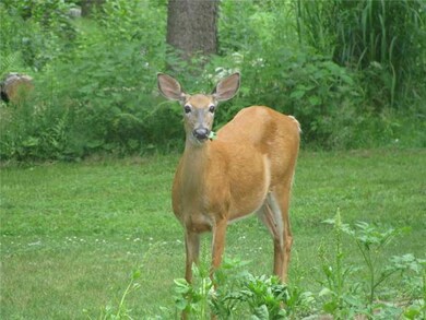 30 Twin Oaks Rd, Harpswell, ME 04079 - photo 6