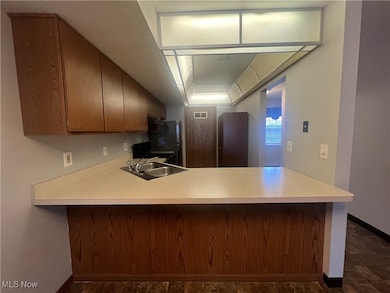 924 Nob Hill Dr unit 3, Niles, OH 44446 - photo 4