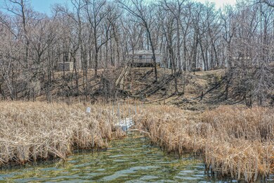 8602 County Road 4 SW, Alexandria, MN 56308 - photo 2