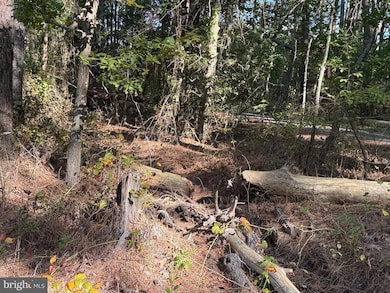 0 3rd Way, Scotland, MD 20687 - photo 4