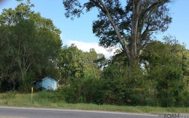 8611 Florida Blvd, Denham Springs, LA 70726 - photo 3