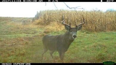 73 AC Alpine Rd, Brooklyn, WI 53521 - photo 6