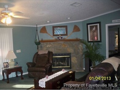 41 Dixie Trail Rd, Lumber Bridge, NC 28357 - photo 6