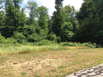 3 Timber Ridge Ln, Park Township, MI 49424 - photo 2