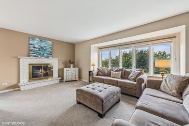 75 6th Ave unit 301, La Grange, IL 60525 - photo 7