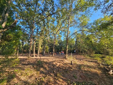 0 S Pennsylvania St unit 21094498, Malakoff, TX 75148 - photo 3