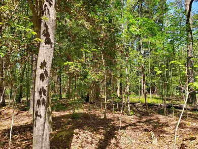 4545 Old Graham Rd, Pittsboro, NC 27312 - photo 4