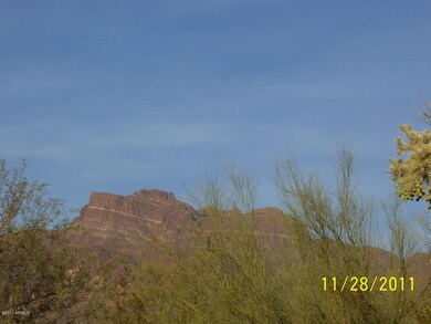Natural desert