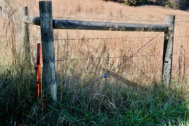 7 Barlow Rd, Rock Island, TN 38581 - photo 7