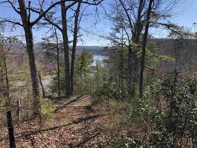 0 Norwood Rd unit 323358, Norwood, VA 24581 - photo 3