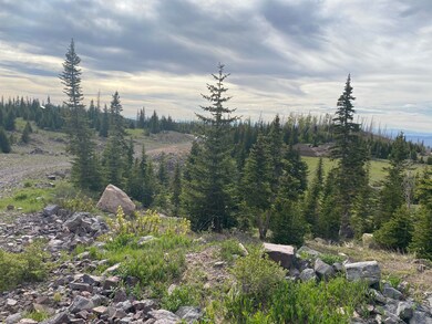 938 E Steam Engine Dr unit LOT 29, Brian Head, UT 84719 - photo 4