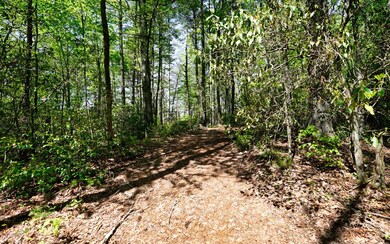 Additional View
