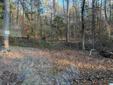 7595 McCombs Mill Rd, Pinson, AL 35126 - photo 4