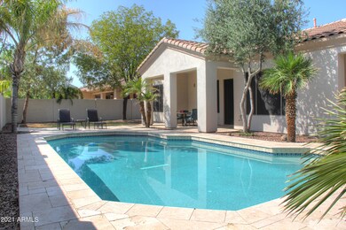 backyard_5