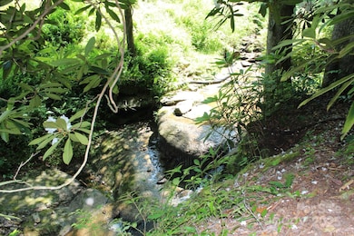 14 Long Branch Rd unit 14, Pisgah Forest, NC 28768 - photo 3