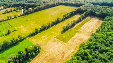 DJI_0496
