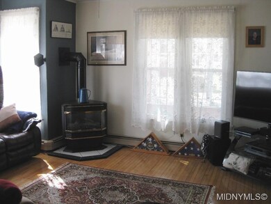Gas stove in living room.