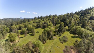 TL100 Lower River Rd, Grants Pass, OR 97526 - photo 3