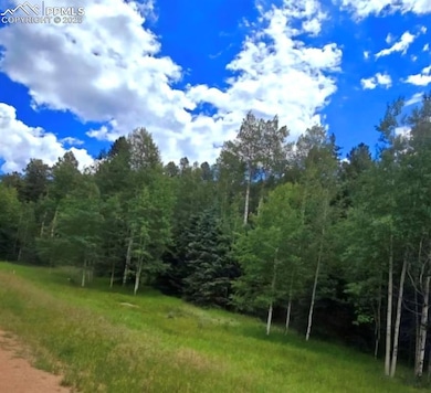 662 Spring Valley Ln, Florissant, CO 80816 - photo 3
