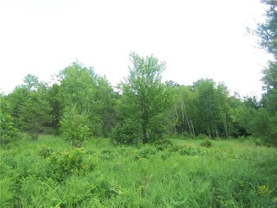 8533 N Bass Lake Rd, Danbury, WI 54830 - photo 5