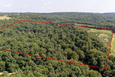 000 Shiloh Rd, Cobden, IL 62920 - photo 3