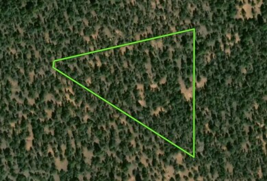 Tbd Cerro Leonides Rd, Ramah, NM 87321 - photo 6