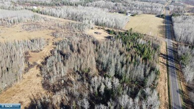 7917 Hinkkanen Rd, Cedar Valley Township, MN 55736 - photo 6