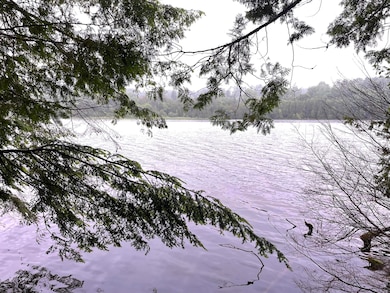 Lot # 4 Kolm Ln, Garland, ME 04939 - photo 2