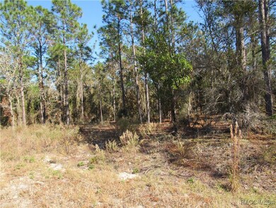 0000 SW Sands Pt Ave, Dunnellon, FL 34431 - photo 4