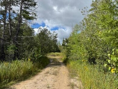 N7411 N Gould City Rd, Gould City, MI 49838 - photo 6