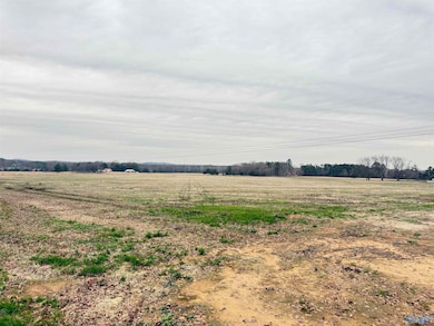 32 Acres Hogan Rd, Falkville, AL 35622 - photo 2
