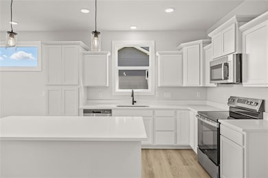 1435 Locust St, Waukee, IA 50263 - photo 4