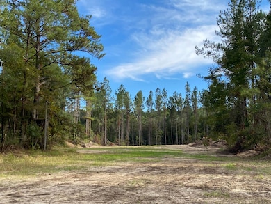 1 Highway 59, Stockton, AL 36579 - photo 4