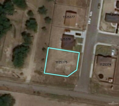 837 Pelican St, Alamo, TX 78516 - photo 3