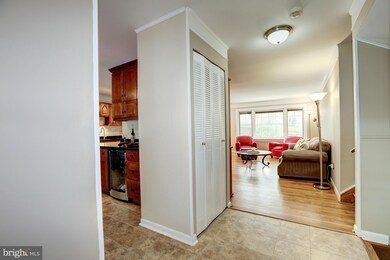 4520 Bestor Dr, Rockville, MD 20853 - photo 4