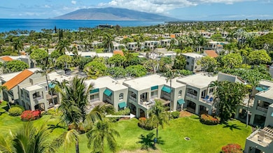 beaches, restaurants, art galleries, The Shops at Wailea, ocean sports, & much more!