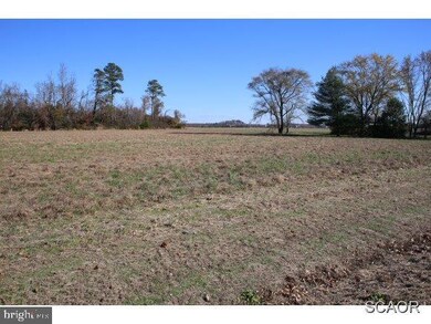 26123 Dupont Blvd, Georgetown, DE 19947 - photo 6