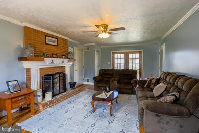 261 Lower View Rd, Strasburg, VA 22657 - photo 3