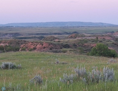 TBD Tbd, Grassy Butte, ND 58634 - photo 5