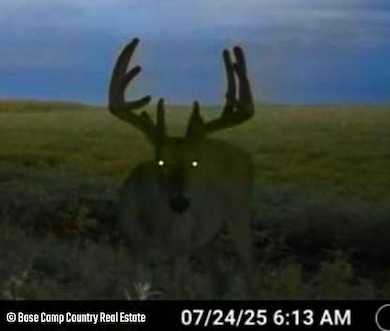 E E 30th St S, Wellington, KS 67152 - photo 3