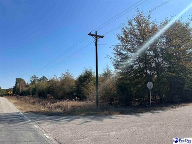 Lot 57 Berry Rd, Latta, SC 29565 - photo 5